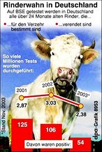 Infografik: BSE-Tests in Deutschland; Großansicht [FR]