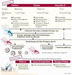 Infografik: Seuchen: Cholera, Typhus, Hepatitis A, Malaria, Japan-Enzephalitis, Dengue-Fieber; Großansicht [FR]