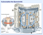 Kernfusionsreaktor ITER, Querschnitt/ Großansicht bei: FAZ.net