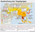 Infografik: Ausbreitung der Vogelgrippe / Großansicht im FR-ePaperangebot