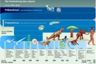 Entwicklung des Lebens; Evolution, Präkambrium, Biodiversität / Infografik Globus 0587 vom 07.04.06 