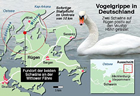 Infografik: Vogelgrippe-Ausbruch auf Rügen