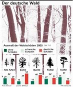 Infografik: Waldschden 2005; Großansicht [FR]