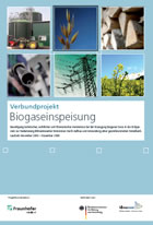 Biogaseinspeisung: Abschlussbericht von Fraunhofer UMSICHT