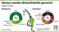 Daraus werden Biokraftstoffe gemacht / Infografik Globus 14158 vom 04.09.2020