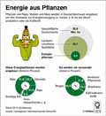 Energie aus Pflanzen / Infografik Globus 14219 vom 09.10.2020