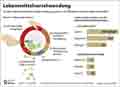 Lebensmittelverschwendung_EU 2022/ Infografik Globus 17137 vom 04.10.2024