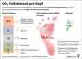 CO2-Fuabdruck_DE 2025: Globus Infografik 17461 vom 14.03.2025