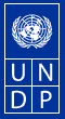 UNDP-Homepage