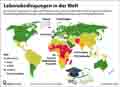  Globus Infografik 18446